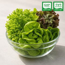 상품 이미지: (신선집중) 친환경 GAP 무농약 부여 유러피안 샐러드 유럽 채소 1kg 800g 550g
