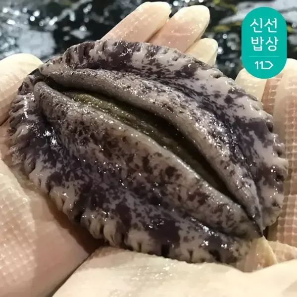 상품 이미지: [품질보장]해신수산 완도활전복 특특大 6-7미 1kg