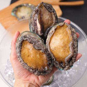 상품 이미지: (신선집중 / 15%+NH 10%)  청정 완도 활전복 1kg  6-7미 VIP왕특대 (완도직송) 신선도보장 손질솔증정