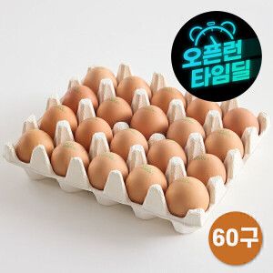 상품 이미지: (신선집중) 알참참 HACCP 난각번호1번 유정란 60구 계란 생란 무항생제 친환경 자연방사 달걀