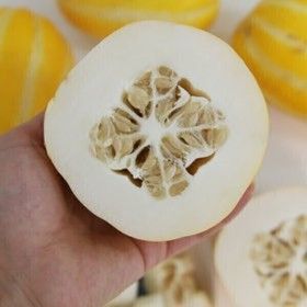 상품 이미지: 진짜성주꿀참외 성주 꿀참외 5kg(포장재포함/실중량4.5kg) 랜덤과 가정용 흠과