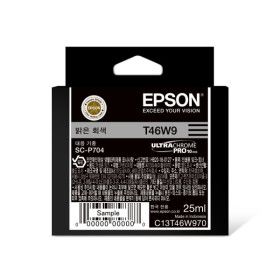 상품 이미지: 엡손 정품 잉크 T46W970 밝은회색 SC-P704