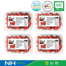 상품 이미지: 스테비아 단마토 대추방울토마토 2kg(1~3번과/로얄과)
