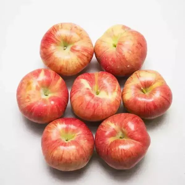상품 이미지: 경북 부사 사과 4kg 19~23과 소과/가정용/미색 상처과