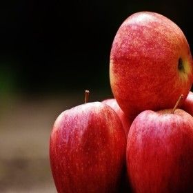 상품 이미지: 떨이농산 주말할인 사과 쥬스용 실중량 10kg