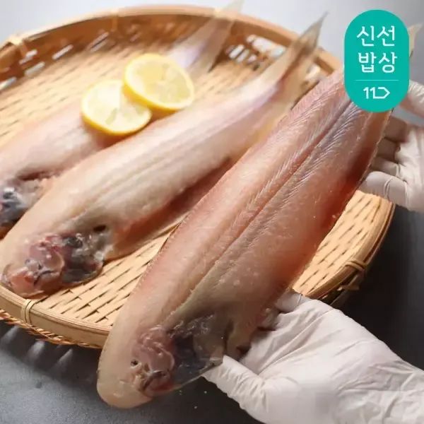 상품 이미지: 자연산 반건조 서대 30-35cm x 8미 / 박대 / 내장손질
