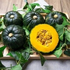 상품 이미지: 산지직송 포슬포슬 제주 보우짱 단호박 1.5kg / 2.5kg