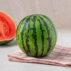 상품 이미지: 광식이농장 애플수박, 2kg 미만, 1개