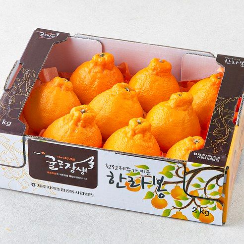 상품 이미지: 제주 위미농협 당도선별 한라봉