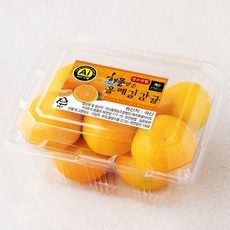 상품 이미지: 올레길 AI 당도선별 11brix 감귤, 500g(로열과), 1개