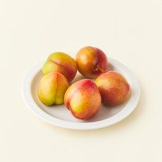 상품 이미지: 다조은 김천 자두(4~6입), 300g, 1팩