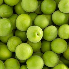 상품 이미지: 국내산 청매실 10kg 햇매실 매실청용 매실주용 특품 산지직송 제철 청매실 가정용 업소용 매실 담금용