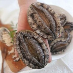 상품 이미지: 직접키운 완도 활 전복 특대 1kg 팔팔씨푸드 10미 선물하기좋은 활전복 가정용 횟감 찜용 세척솔 증정