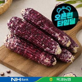 상품 이미지: (신선집중) 찰옥수수 10개입 16cm이상 특품크기 / 26년 수확중/ 옥과농협 흑찰옥수수
