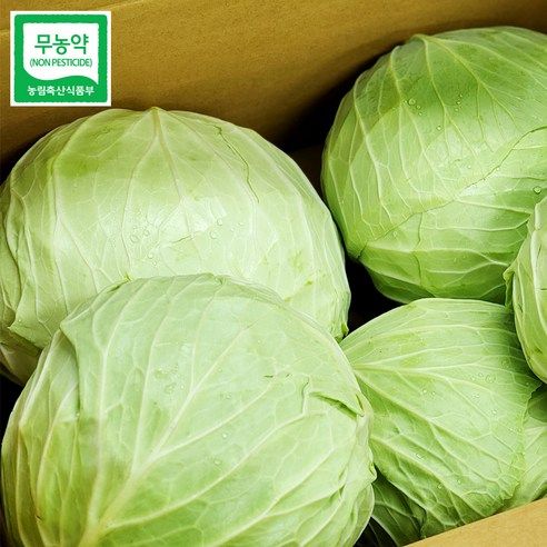 상품 이미지: 울팜 아삭 달달 국내산 친환경 양배추 제주 무안 밀양, 3kg, 1박스