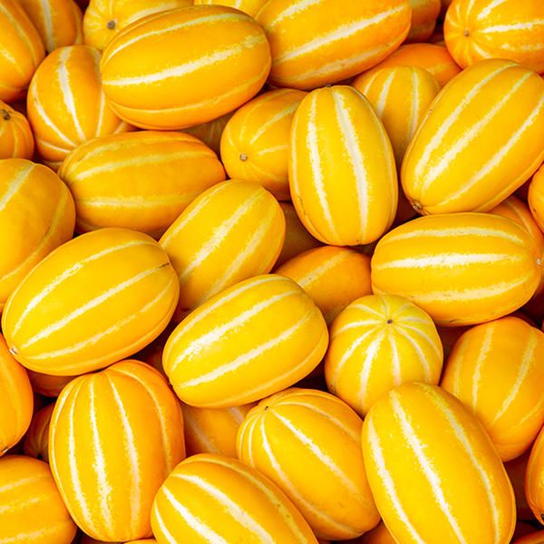 상품 이미지: 참외10kg 성주 꿀참외 산지 고당도