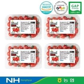 상품 이미지: 스테비아 단마토 대추방울토마토 2kg(1~3번과/로얄과)