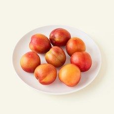 상품 이미지: 다조은 자두 7~9입, 1개, 300g