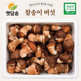 상품 이미지: 햇담 참송이버섯 B급이하 가정형 500g 1kg 농협에 납품하는 무농약 이천 참송이버섯 품질보장 농장 직접배송