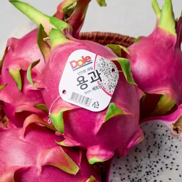 상품 이미지: Dole 화이트 용과 Dragon fruit 5kg(8~12개입)