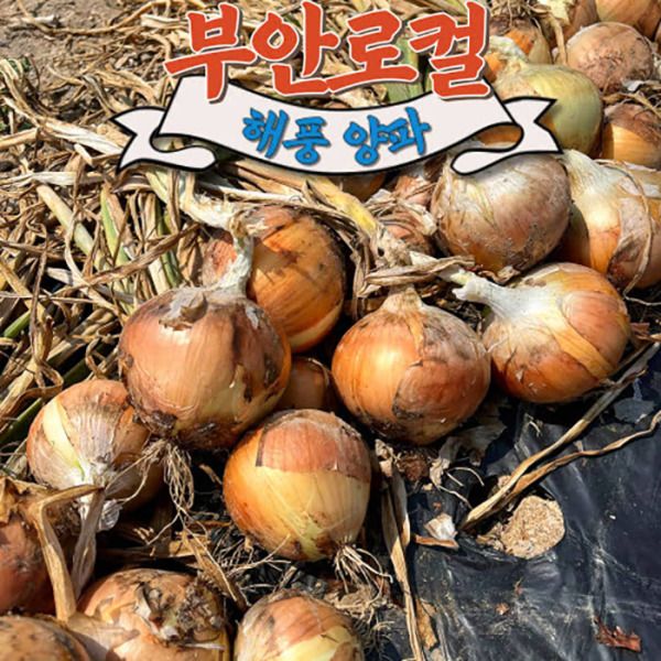 상품 이미지: 부안로컬 해풍맞은 햇양파 3kg (중대혼합)