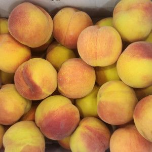 상품 이미지: (신선집중) 산지직송 달콤 쫀득 말랑한 황도/백도 복숭아 4kg(25~30과 내외)  품종/랜덤 특가 이벤트