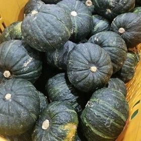 상품 이미지: 가정용 제주 보우짱 단호박 밤호박 8kg