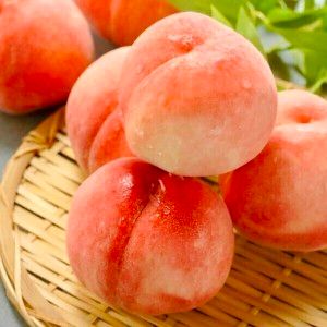 상품 이미지: (딱2주마감특가) 딱딱이 복숭아 4kg 마트납품용 정품 경북직송 23-26과내외