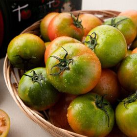 상품 이미지: 단짠단짠 부산명물 대저 토마토 2.5kg (M)