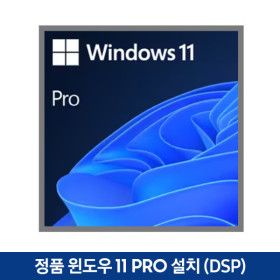 상품 이미지: 윈도우 11 Pro(DSP) 설치