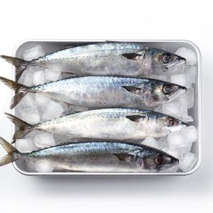 상품 이미지: (신선집중) 국내산 부산 손질 고등어 간고등어 자반 10미 2.3kg 내외 (2개 구매 시 갈치 1미 증정)