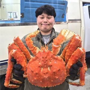 상품 이미지: 러시아 킹크랩 3kg 레드킹크랩 블루킹크랩 브라운킹크랩 브라운 킹크랩 이번주만 kg 38000원