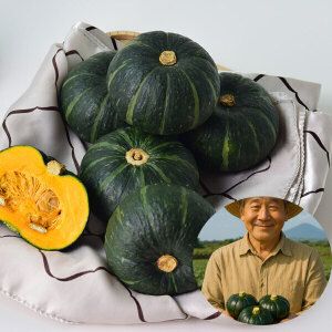 상품 이미지: (신선집중) 제주직송 밤단호박 보우짱 20%+15% 5kg로얄사이즈(13-23과내외)당일출고