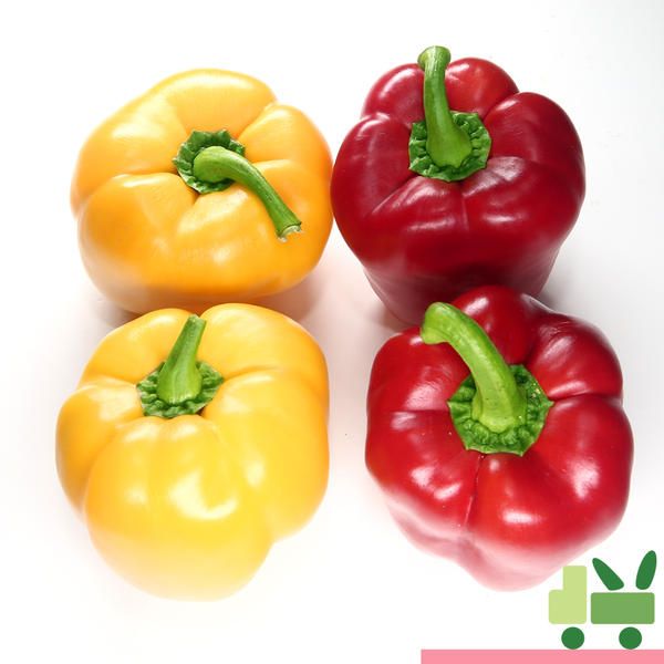 상품 이미지: 파프리카 5Kg (비품 - 빨강 노랑)