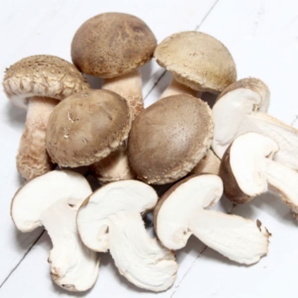 상품 이미지: 문경 송화고 고기버섯 500g 1kg