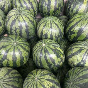 상품 이미지: 당도선별 고당도 정품 수박 시원달달 꿀수박 7~8kg