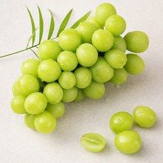 상품 이미지: 샤인머스캣, 500g, 1팩