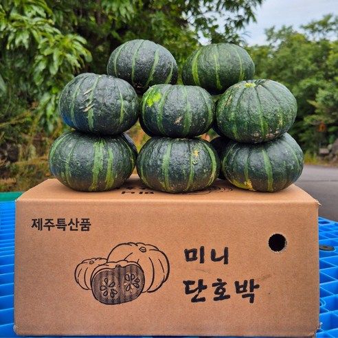 상품 이미지: 포슬포슬 제주 미니 밤호박