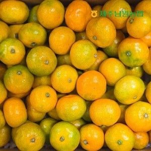 상품 이미지: 제주남원농협 하우스 감귤 소과 4.5kg (실중량)