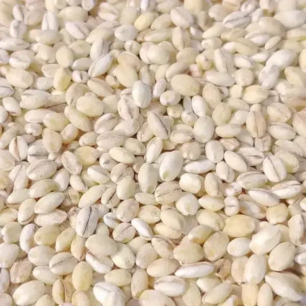상품 이미지: 군산 흰찰쌀보리4kg/흰찰보리/찰보리