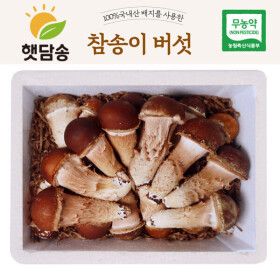 상품 이미지: 햇담 참송이버섯 정품 특대사이즈 최상급 500g 1kg 농협에 납품하는 무농약 이천 참송이버섯 농장 직배송