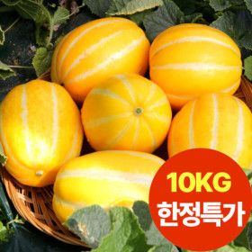 상품 이미지: 성주 꿀참외 10kg 혼합 (실중량10kg) / 26년 꿀 달콤한 참외 / 파격특가중 마지막