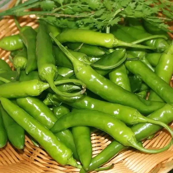 상품 이미지: 청양고추(상) 5kg 1박스 자연대로팜웨이