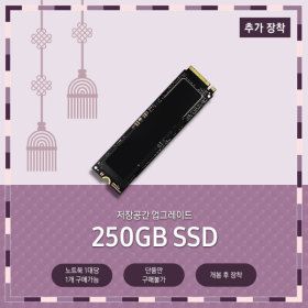 상품 이미지: 추가옵션_ SSD 250GB 추가 장착 (확장 슬롯/개봉 후 장착)