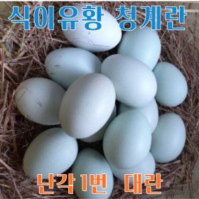 상품 이미지: 자연방사 계란(40란)청란 유정란 고영양계란 청계알 (난각1번)
