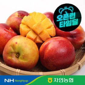 상품 이미지: (신선집중/15%+NH) 한정특가 망고 복숭아 자인농협 옐로드림 2kg / 20~25과/망고복숭아