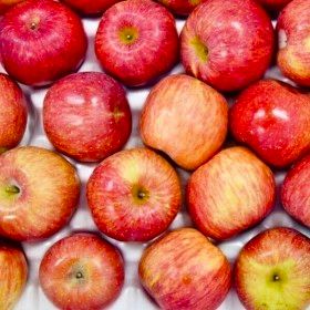 상품 이미지: (하루딱100박스) 경북 산지직송 고당도 부사사과 // 2kg(중소과) 9-11과내외 박스포함