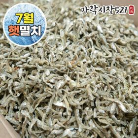 상품 이미지: 국내산 볶음용 햇 지가이리멸치 대용량 1.5kg 세멸 자멸 볶음 조림용 반찬 멸치 업소용 7월 첫출하
