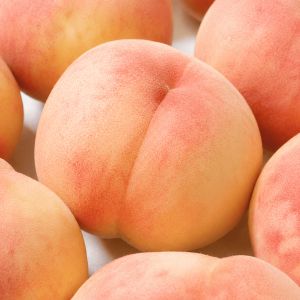 상품 이미지: (신선집중) 경북 달콤한 털복숭아 백도 딱딱이 복숭아 4kg 랜덤과(22~26과내외)
