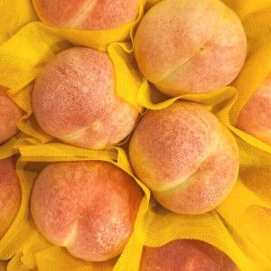 상품 이미지: 복숭아 3시간 특가 4kg 실중량 딱복(대월 경봉등) 물복(수황 미황등) 당일 수확 배송